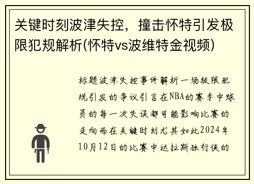 关键时刻波津失控，撞击怀特引发极限犯规解析(怀特vs波维特金视频)