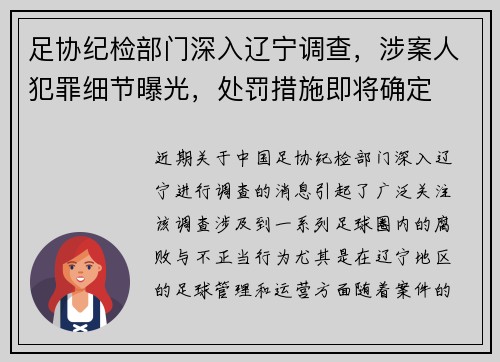 足协纪检部门深入辽宁调查，涉案人犯罪细节曝光，处罚措施即将确定