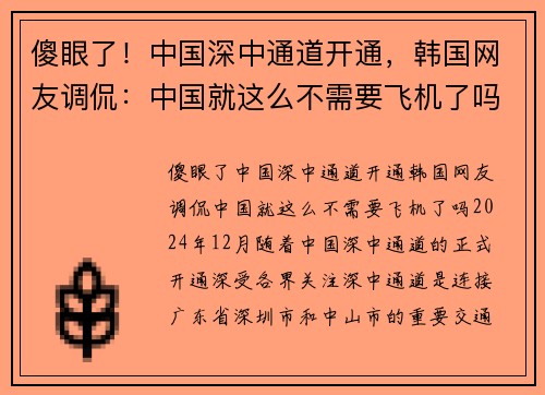 傻眼了！中国深中通道开通，韩国网友调侃：中国就这么不需要飞机了吗？