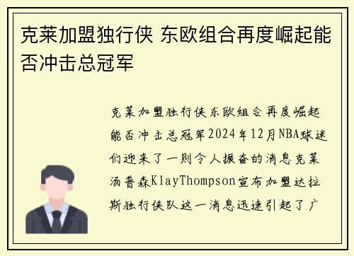 克莱加盟独行侠 东欧组合再度崛起能否冲击总冠军