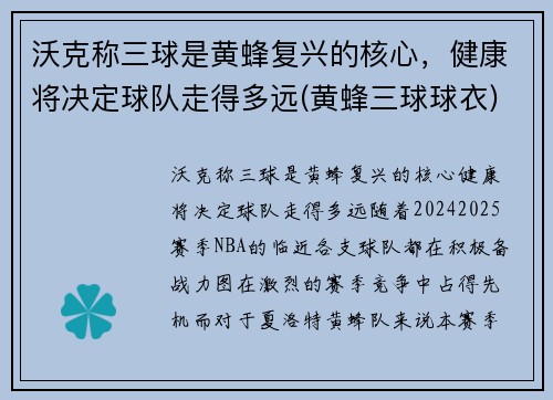 沃克称三球是黄蜂复兴的核心，健康将决定球队走得多远(黄蜂三球球衣)